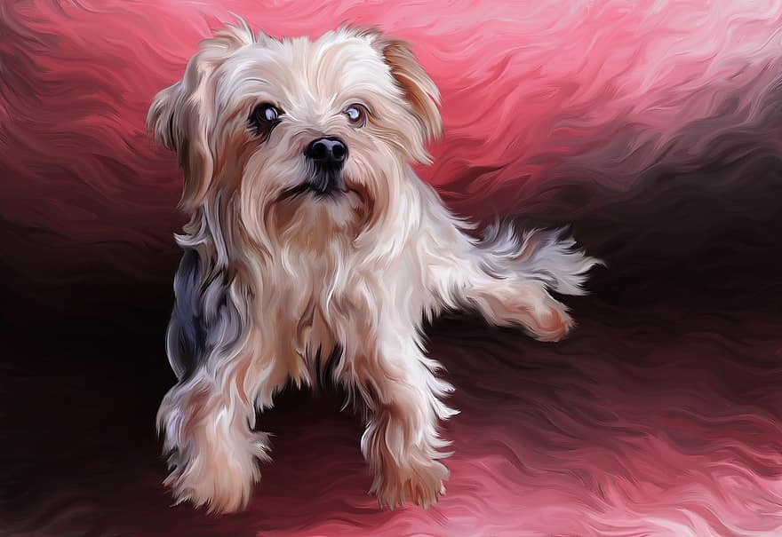 šuo, spalvinga, teptukų dažymas