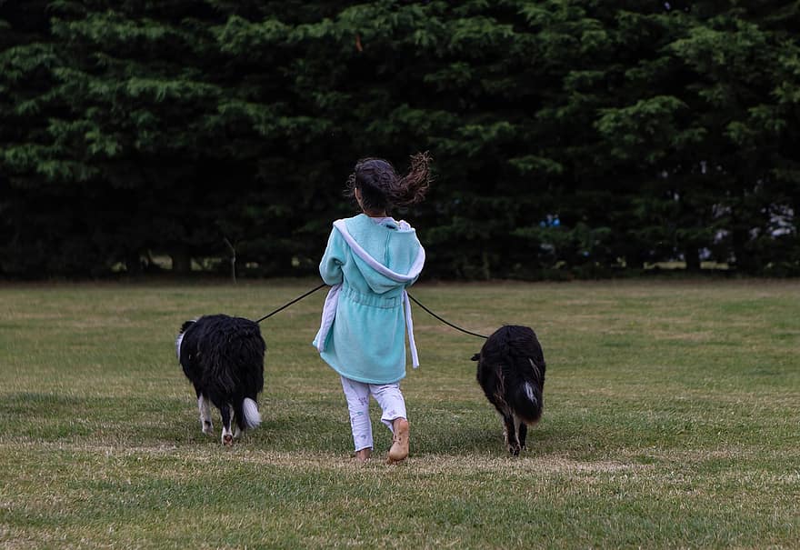 dívka, psů, pes chůze, naboso, dítě, domácí mazlíčci, zvířat, volný čas, trávník, pole, park