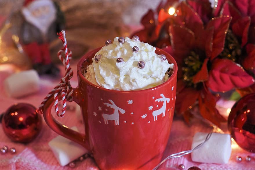 dryck, kakao, marshmallows, choklad, varm, jul, första advent