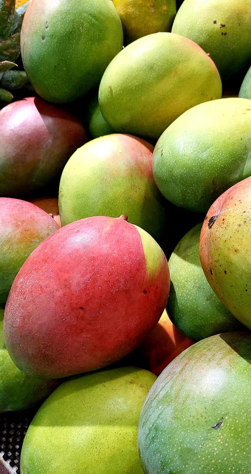 Mango, meyve, Gıda, taze, sağlıklı, olgun, organik, tatlı, üretmek, tazelik, yeşil renk