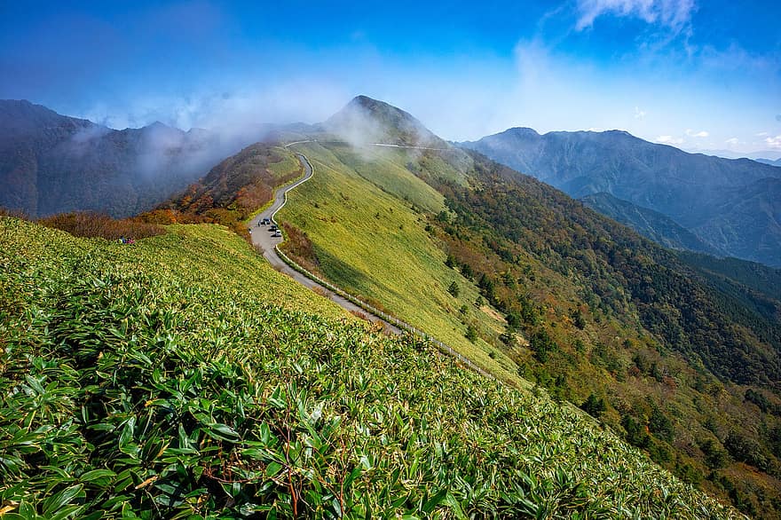 bjerg, vej, bjergvej, spids, topmøde, Sasa Meadow, Bjergområde, bjerglandskab, landskab, naturlig, Shikoku-bjergene