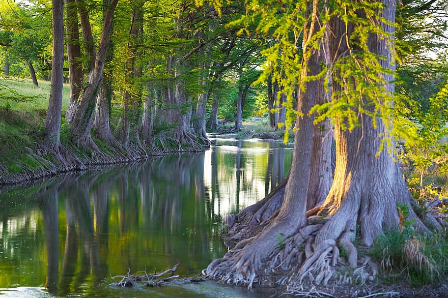 Cypress Creek, cipreses, corriente, país de la colina de Texas, paisaje, puesta de sol, tierra de cultivo, Holiday Creek, tierra de rancho, bosque, árbol