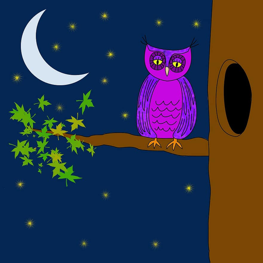 сова, фіолетовий, ніч, зірок, місяць, дерево, листя, листові, відділення, тварина, пір'я