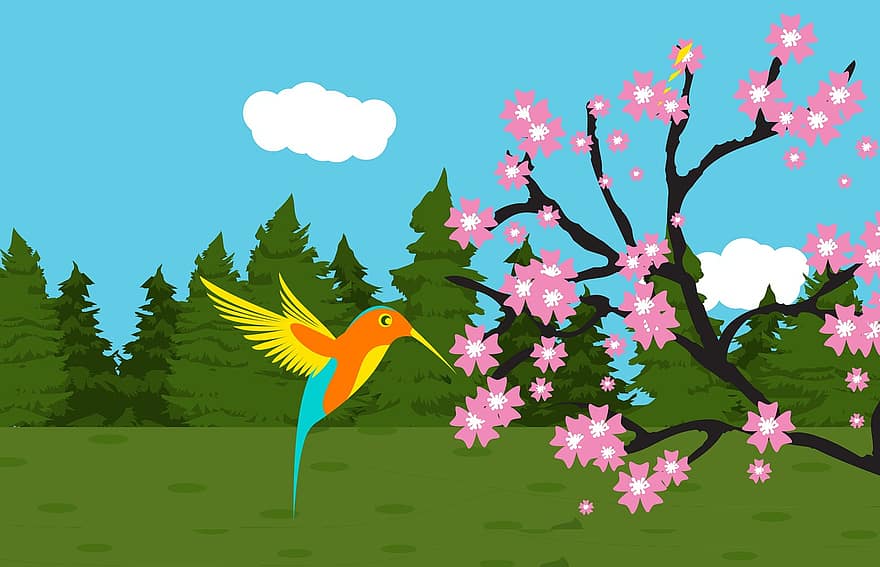 kolibri, træ, blomst, fugl, flyvende, natur, dyr, vinge, dyreliv, smuk, himmel
