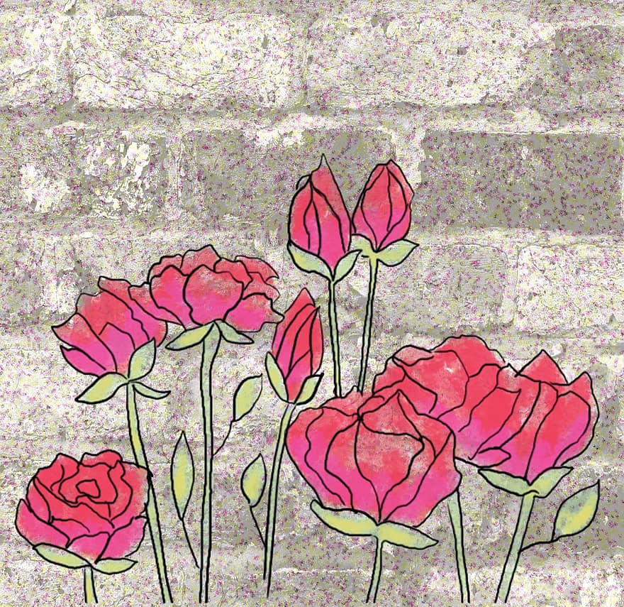 Tường, những bông hoa, hoa hồng, đỏ