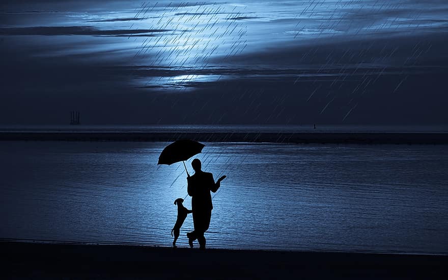 σκύλος, ομπρέλα, βροχή, κατοικίδιο ζώο, φιλία, θάλασσα, φεγγάρι, Νύχτα, Φροντίδα, χειμώνας, ηρεμία