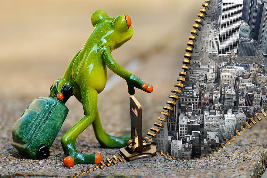 Time For A Change, Frog, Farewell, Travel, Luggage, Holdall, Go Away, Vacations, On The Go, Animal, Fun