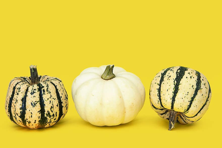 ひょうたん、野菜、収穫、押しつぶす、秋、かぼちゃ、フード、生、熟した、デコレーション、黄色の背景