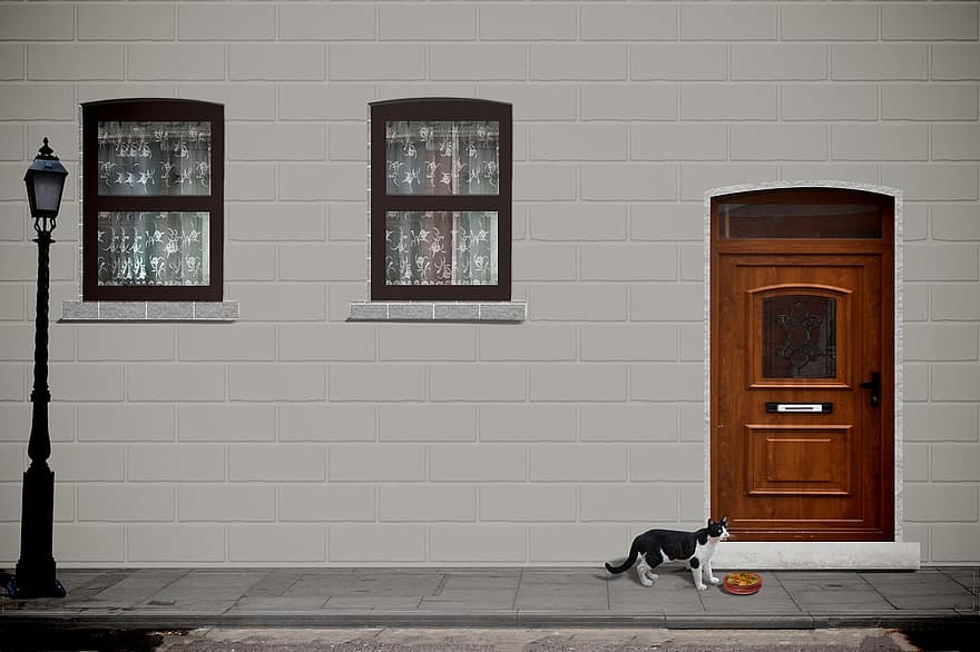 прозорец, врата, сграда, къща, вход, две, лампа, котка