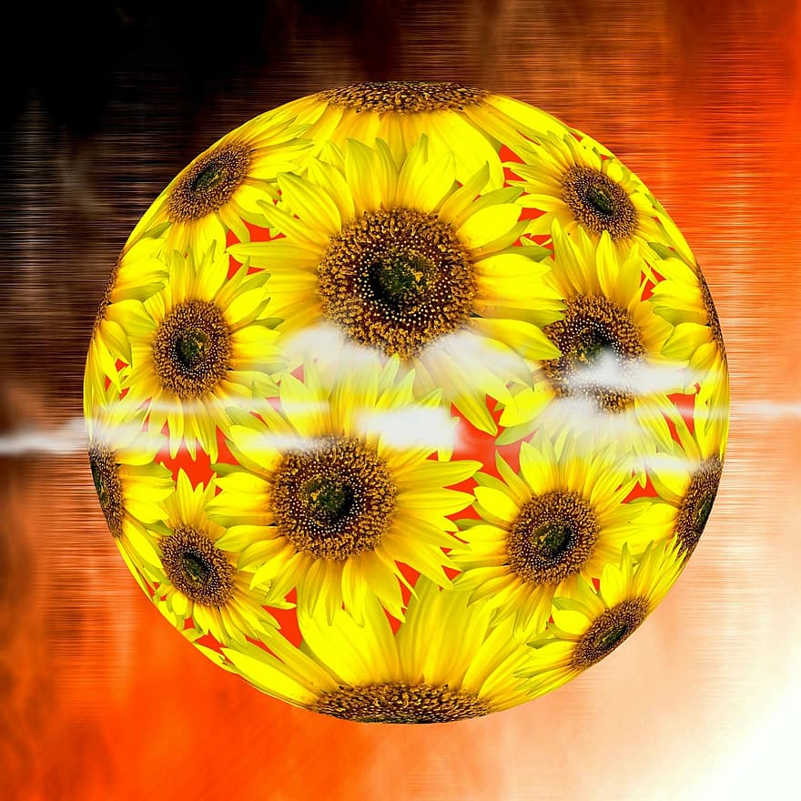 bunga matahari, bunga, musim panas, kuning, menanam, matahari, alam, mekar, berkembang, grafis, cerah