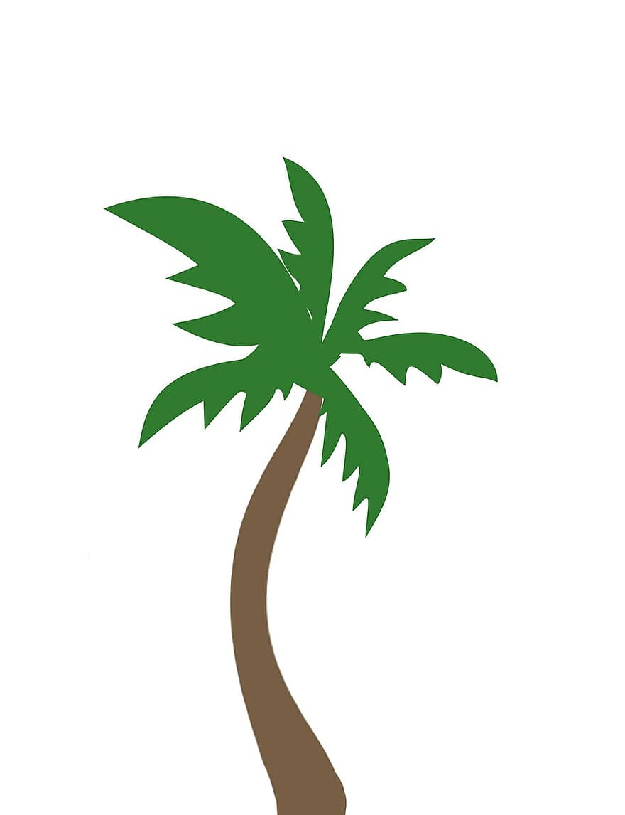 handflatan, kokosnötsträd, kokos, tropisk