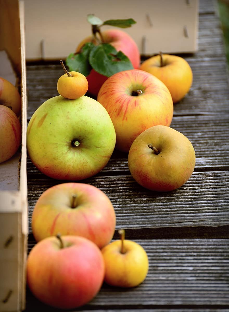 táo, táo tươi, trái cây, trái cây tươi, sản xuất, mùa gặt, hữu cơ, Táo hữu cơ, khỏe mạnh, Sự khác biệt, sự đa dạng