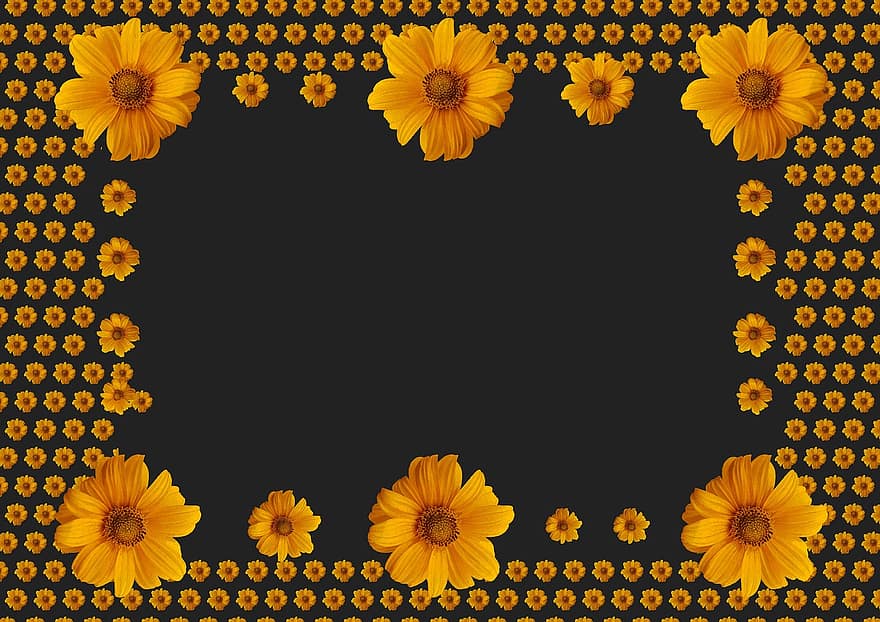 Sunflower, Photo Frame, On Black