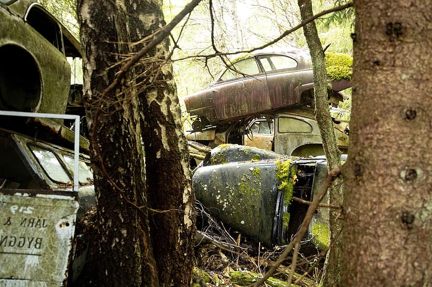 Cars, Trees, Forest, Wreck