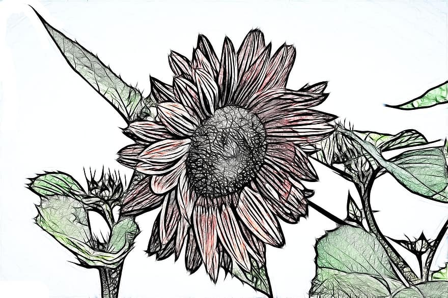 Blume, Blumen Illustrativ, Zeichnung, illustriert, Blumen-, Frühling, blumig