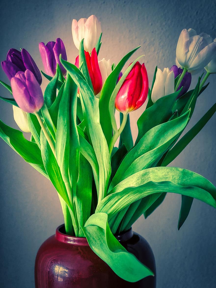 tulipas, flores, vaso, flor, pétalas, Flor, plantar, natureza, flora, arranjo de flores
