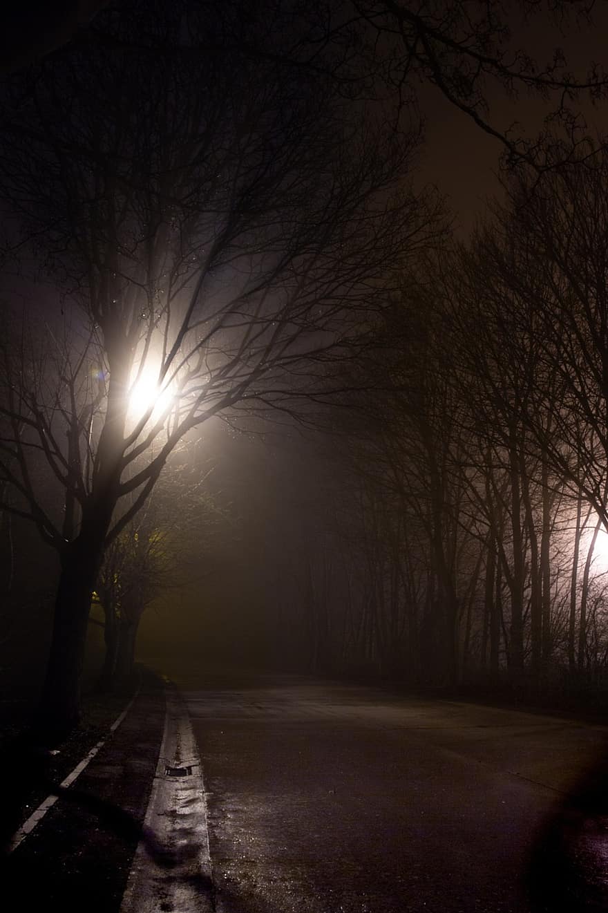 vej, hovedvej, træer, tåge, nat, by, lys, by-, gade, transportere