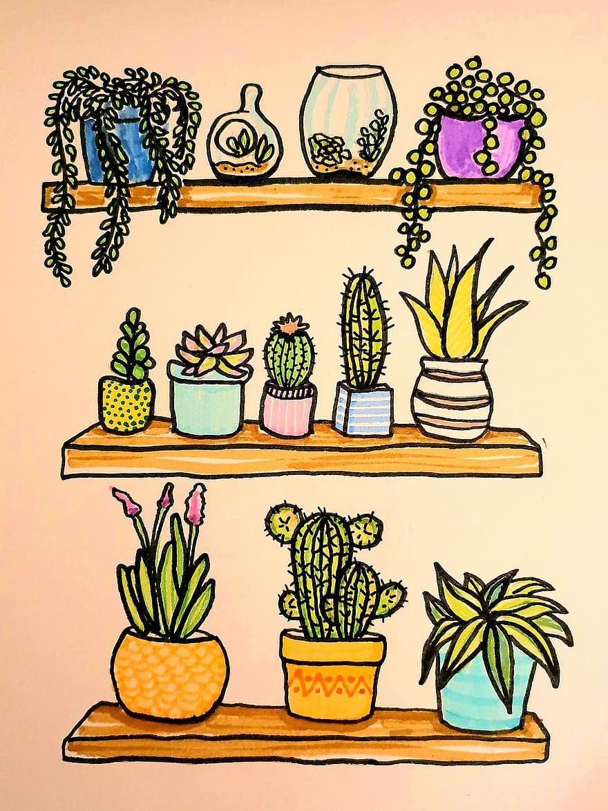 acuarelă, plante, suculent, houseplants, desen, semănat, plante de ghiveci, horticultură