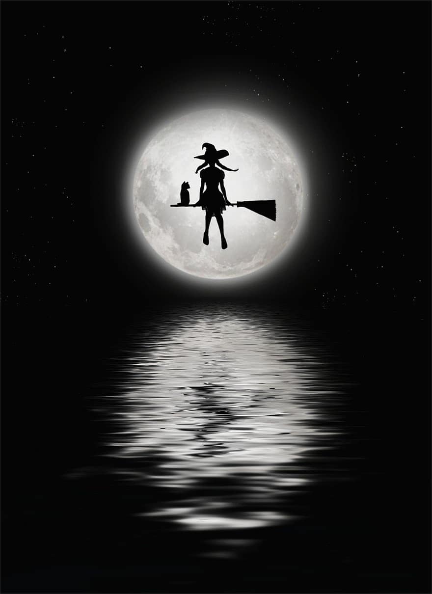 bruixa, lluna, lluna plena, fons de pantalla, negre, estrella, nit, reflexió, aigua, silueta, gat