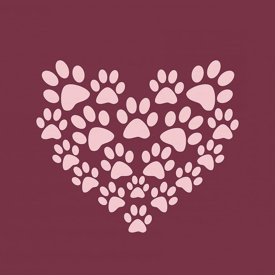 orma di Zampa, impronte di zampe, cuore, carina, rosa, Borgogna, sfondo, design, arte, animale, animale domestico