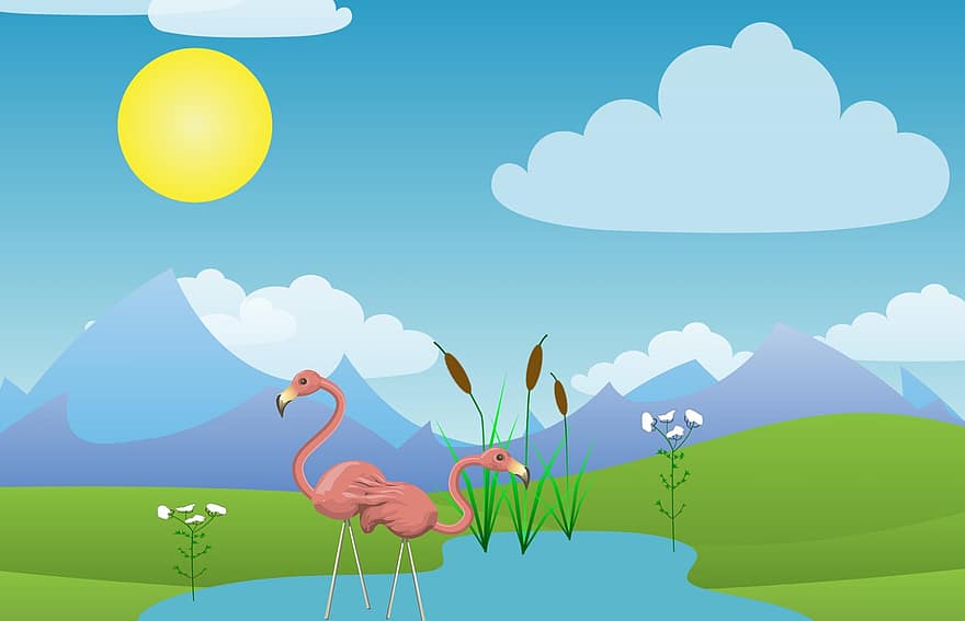 flamingo, dyr, dyrehage, vill, fargerik, søt, vinge, innsjø, miljø, Vannmiljø, ganske