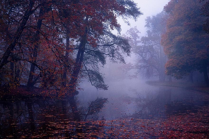 ezers, raksturs, kritums, rudenī, mežs, koks, migla, lapas, sezonā, ainavu, oktobris