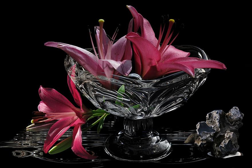квіти, пелюстки, чаша, лілія, скляна чаша, Рослина, камінь