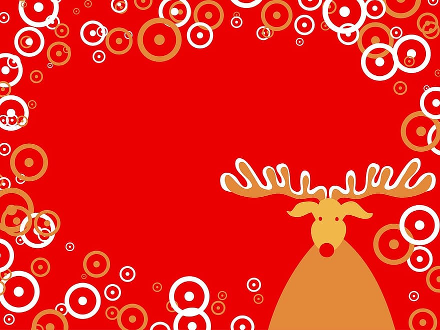 ren, högtider, tillfällen, jul, röd, Rudolf, djur-, festlig, gräns, bakgrund, design