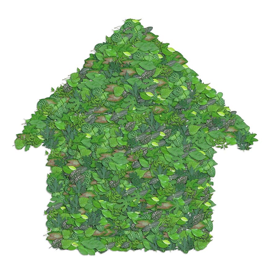 zaļumi, zaļa, mājas, vidi, raksturs, lapas, dabiski, iet zaļi, vides, veselīgi, ekoloģija