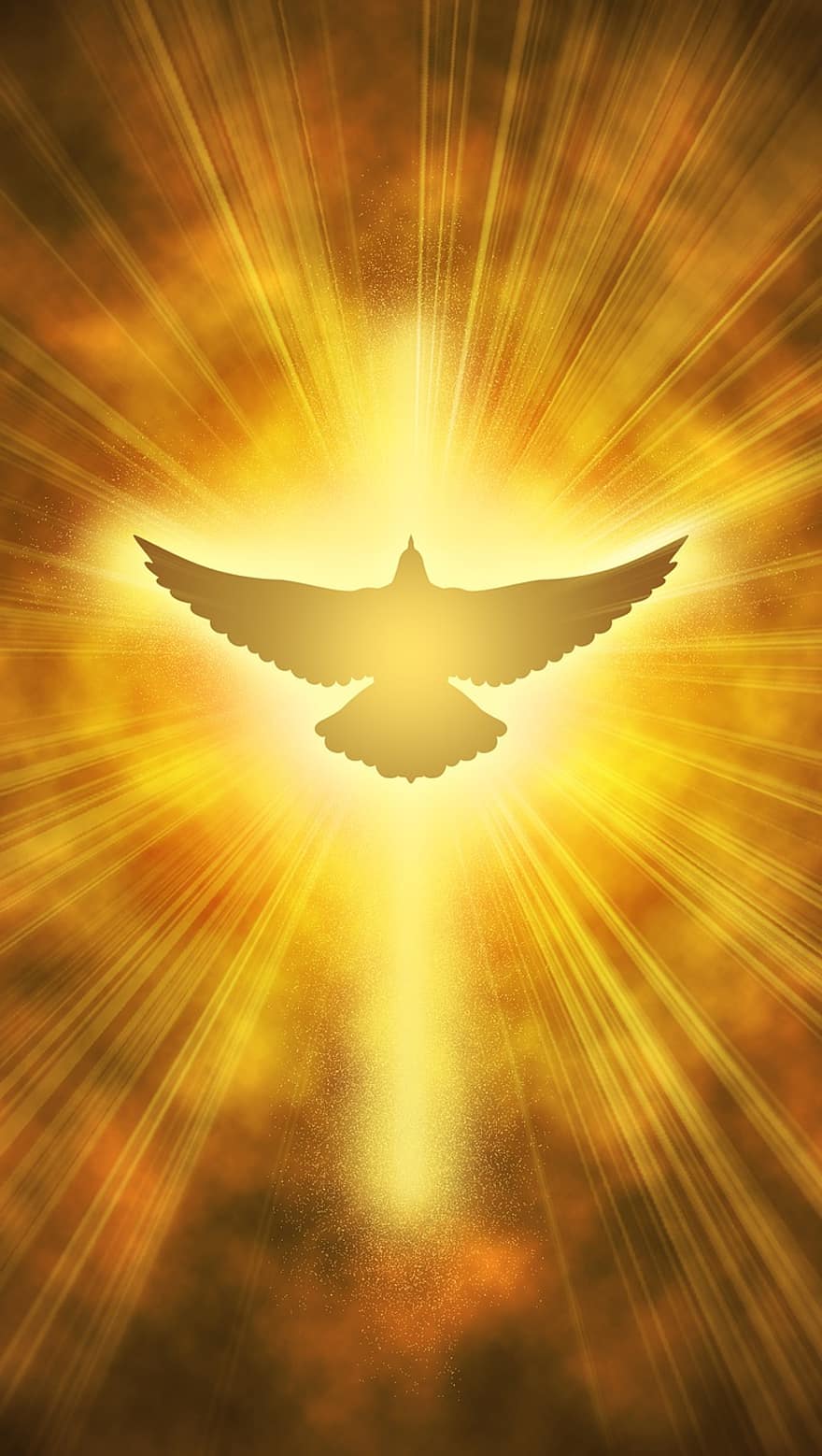 güvercin, ışık, çapraz, gökyüzü, isa, İsa, Allah, kutsal, ruh, diriliş, Kutsal Kitap