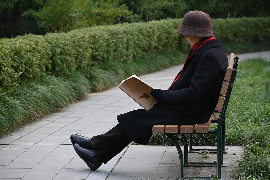 anciano, leyendo, parque, banco, hombre, mayor, ocio, camino