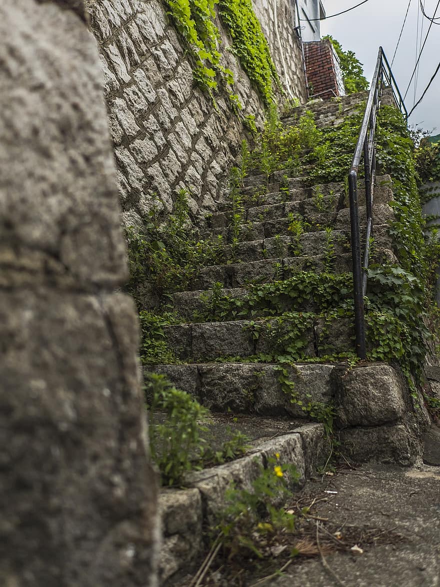 pierre, escaliers, négligé, inutilisé, cannabis, herbe, modèle, vieux