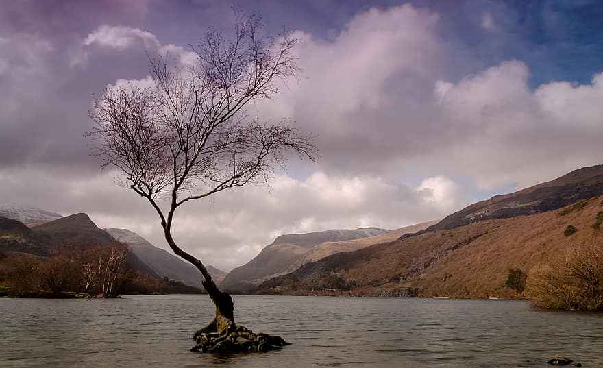 Příroda, jezero, cestovat, strom, průzkum, venku, hory, Wales