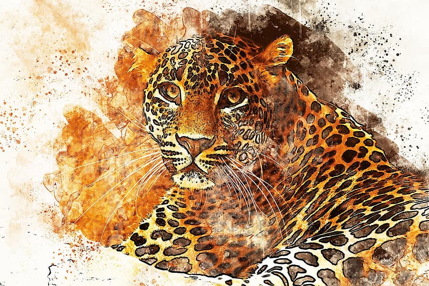 leopard, felin, animal, prădător, sălbatic, panteră, Africa, cap