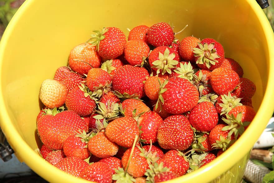 jordbær, bær, rød, søt, vitaminer, fersk, sommer, moden, anlegg, natur, vegetarisme