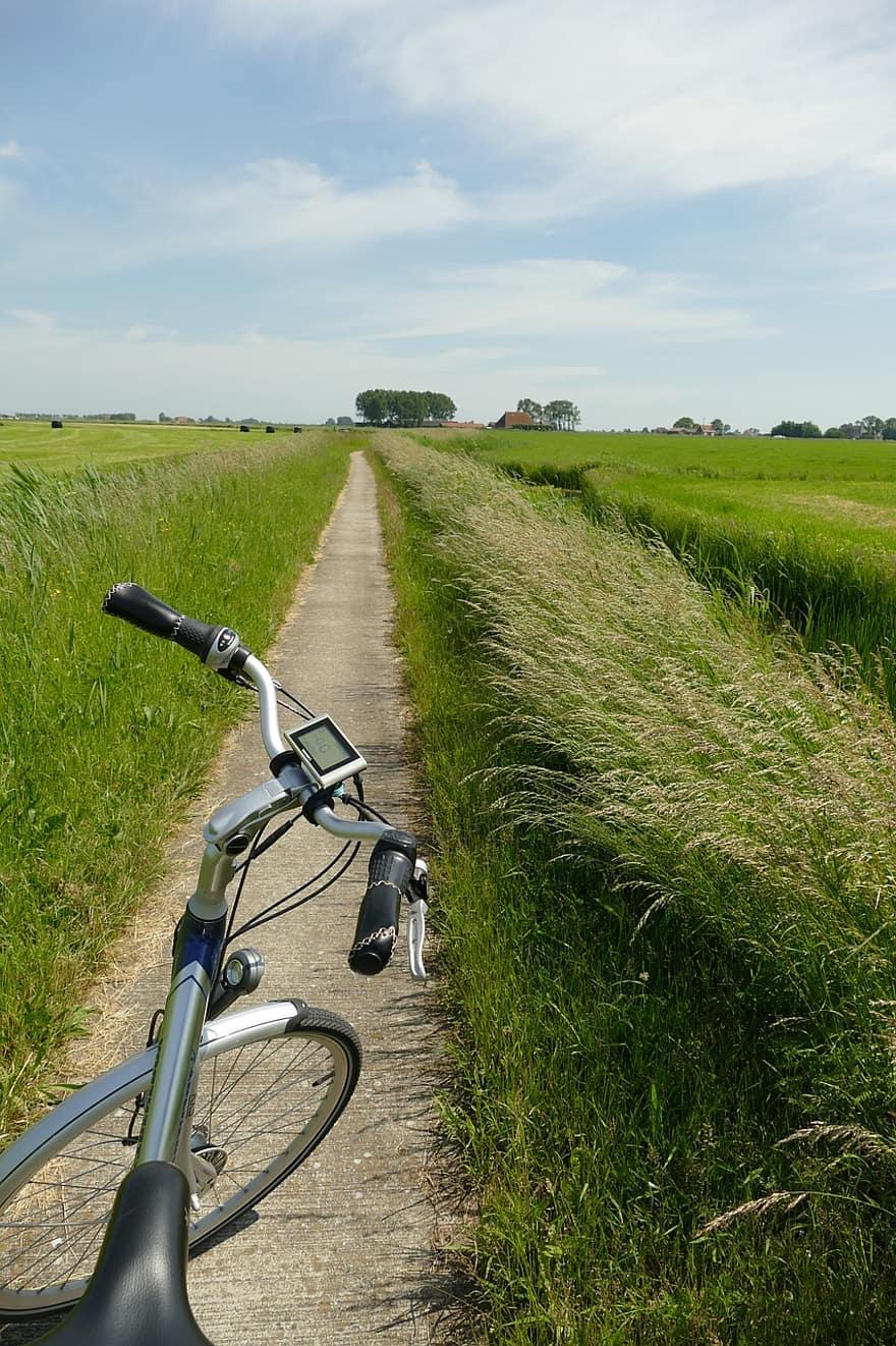 ποδήλατο, μονοπάτι ποδηλάτου, πεδίο, ποδηλασία, μονοπάτι, στενός, αγρόκτημα, λιβάδι, γεωργία, αγροτικός
