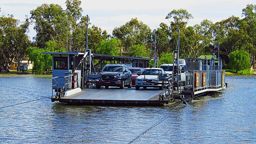 veerboot, veerboot voor auto's, Murray River, kabelveerboot, water, vervoer, nautisch schip, wijze van transport, kanaal, reizen, zomer