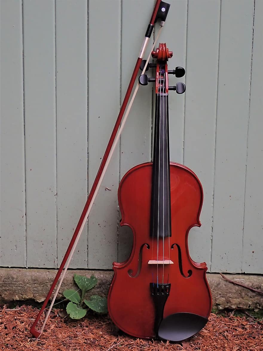 instrument, vioară, clasic, violă, instrument muzical, lemn, muzician, a închide, Instrument cu coarde, vechi, un singur obiect