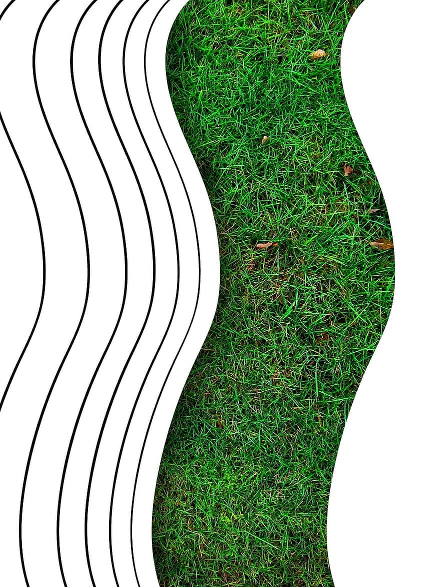 projekt, abstrakcyjny, pośpiech, łąka, Zielony, wzór, tło