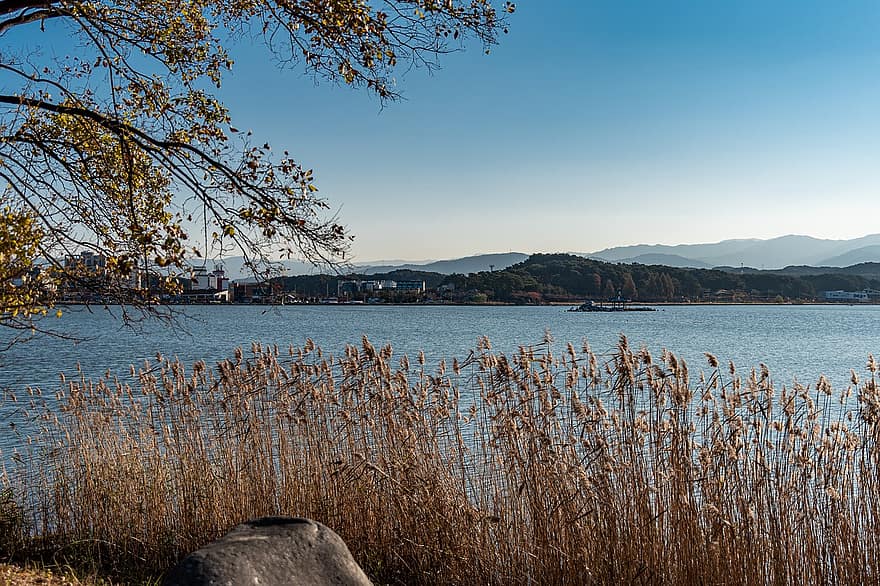Gangneung, езеро, Южна Кореа, природа