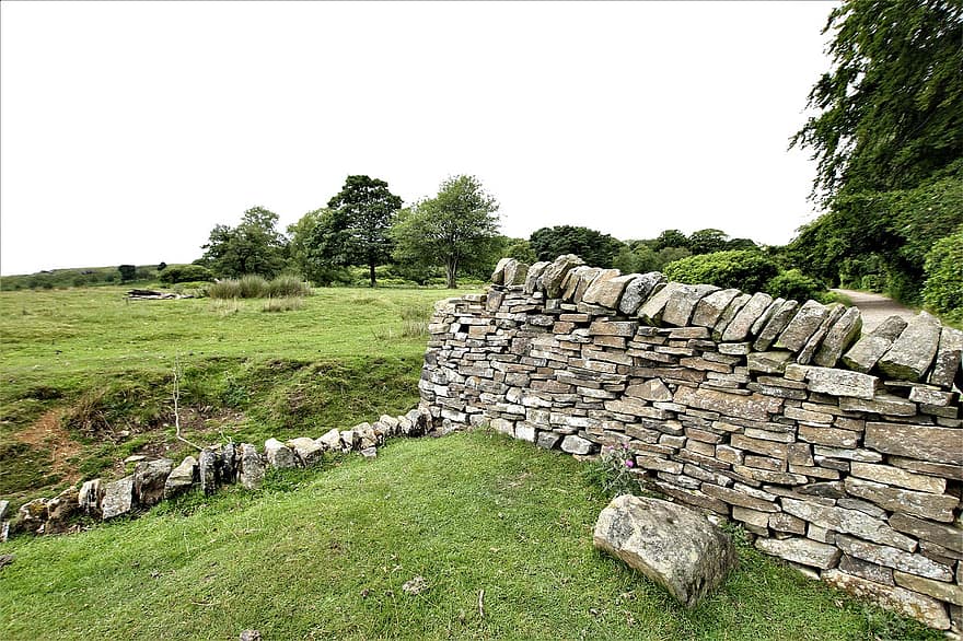 поле, стена, камень, состав, каменная стена, шаблон, дизайн, деревья, граница, барьер