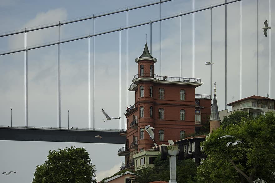 город, птицы, мост, городской, туризм, путешествовать, архитектура, строительство, обои на стену, Стамбул, Турция