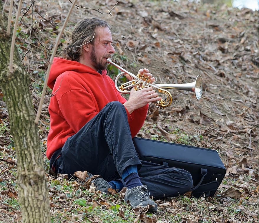 Man, Bearded, Trumpet, Placed, Leaves, Earth, The Music, Song, Classical, Park, men