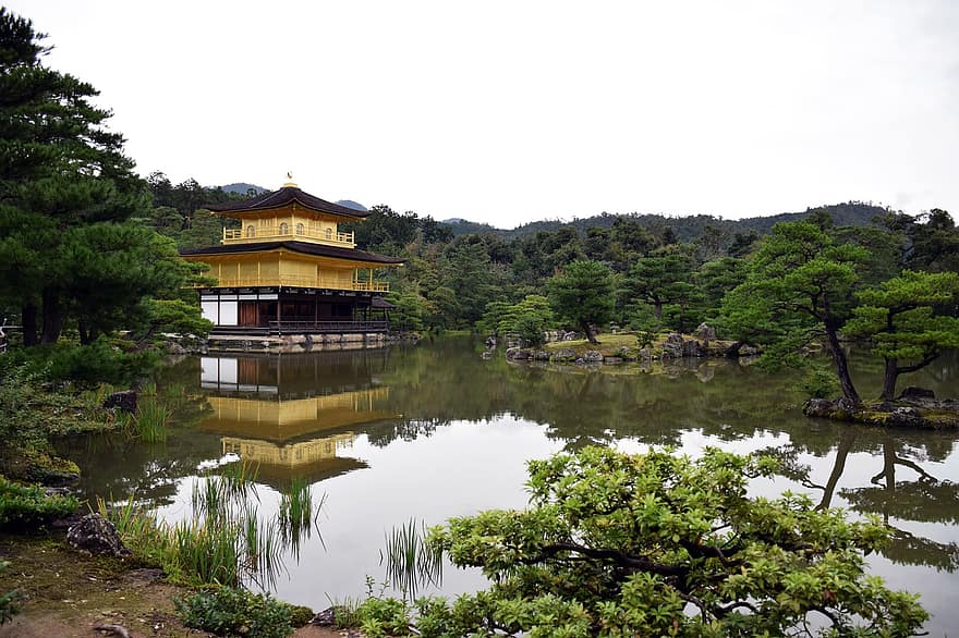 Jepang, istana, alam, Asia, Arsitektur, air, pohon, musim panas, pemandangan, tempat terkenal, budaya