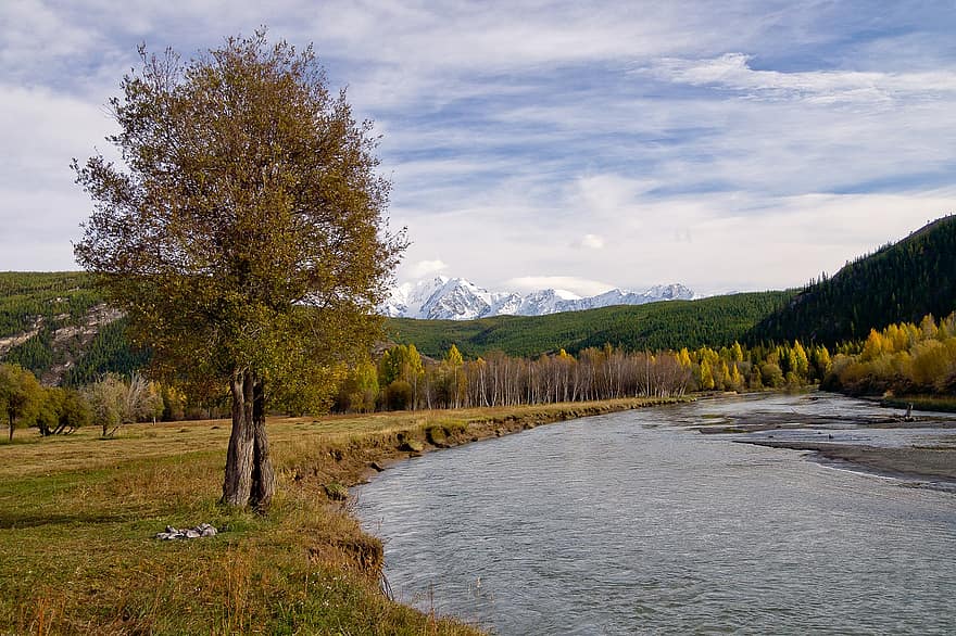 Altai, montanhas, rio, natureza, panorama, outono, floresta, montanha, árvore, agua, cena rural