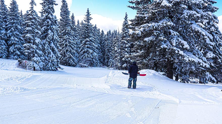 Ski, Winter, Schnee, Berg, Natur, Wald, Aktivität, Freizeit, Sport, Männer, Abenteuer