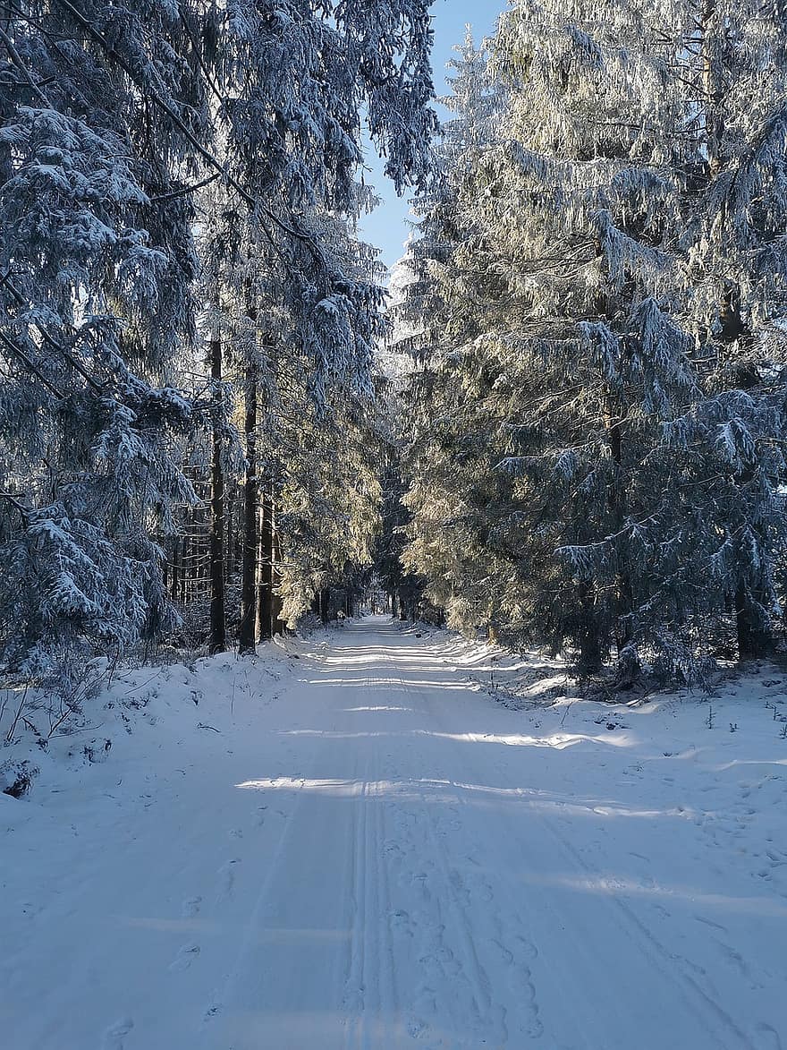 Winterlandschaft, Winter, Schnee, Landschaft, Feld, Wald, Natur, Weg, Baum, Jahreszeit, Frost
