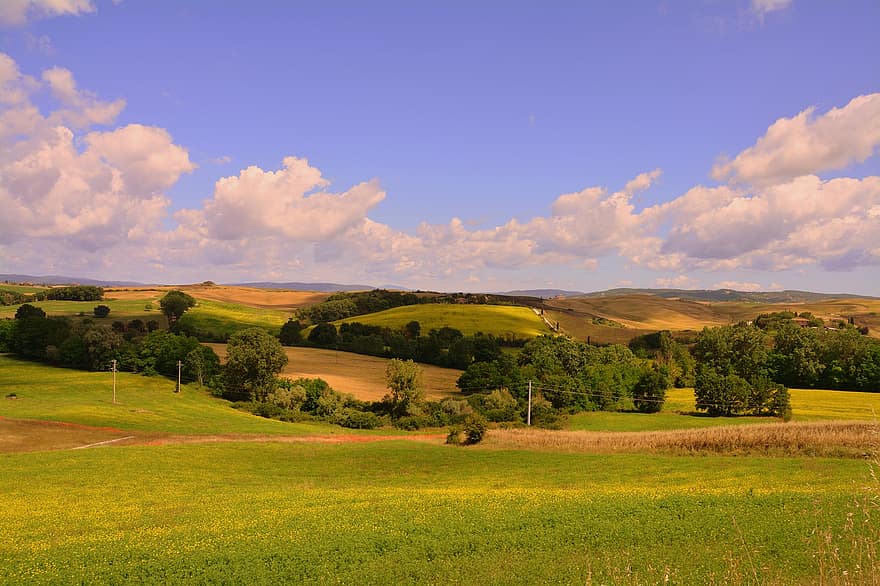 農業、フィールド、緑、キャンペーン、農村、自然、春、風景、トスカーナ、イタリア