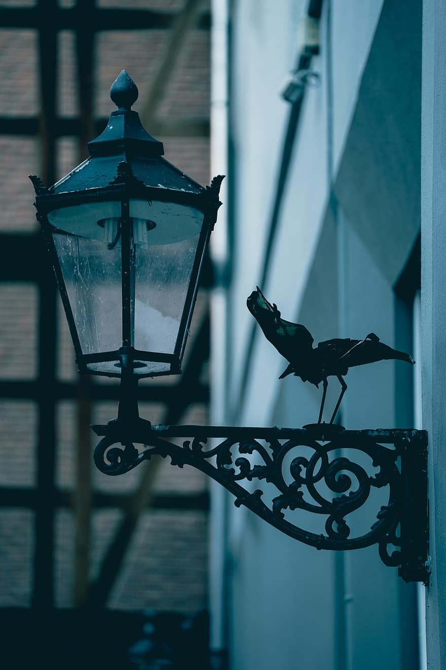 lanterna, uccello, lampada, ornitologia, architettura, lampada elettrica, vecchio stile, metallo, vecchio, bicchiere, lampione