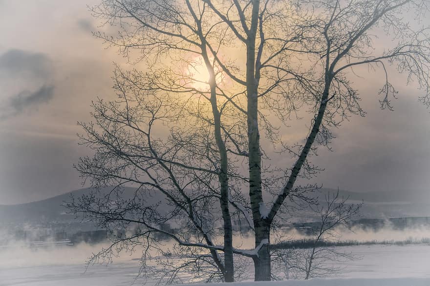 râul yenisei, seară, iarnă, ceaţă, îngheţ, ecologie, Siberia, Rusia, Krasnoiarsk, natură, copac